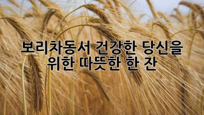 보리차동서: 건강한 당신을 위한 따뜻한 한 잔