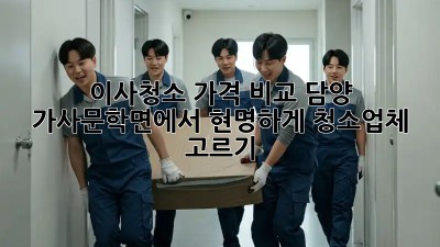 이사청소 가격 비교: 담양 가사문학면에서 현명하게 청소업체 고르기