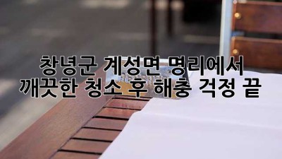 창녕군 계성면 명리에서 깨끗한 청소 후, 해충 걱정 끝!